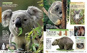 動物 新訂版 (講談社の動く図鑑MOVE) | 講談社, 山極 寿一 |本